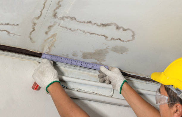 Affordable Water Damage Repair solutions in Romeo, MI